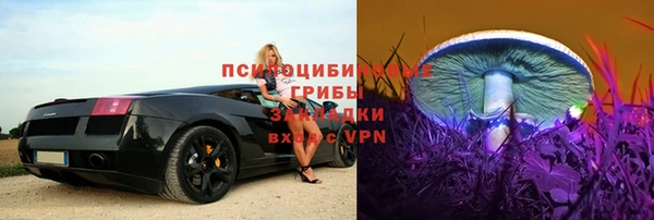 винт Алексеевка