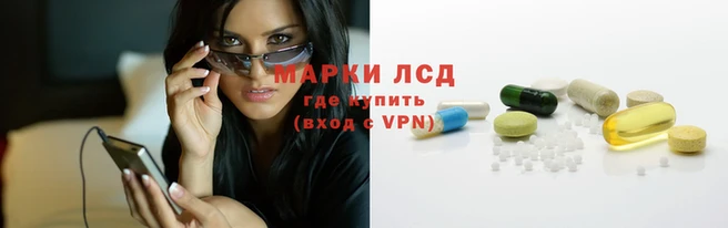 apvp Алексин