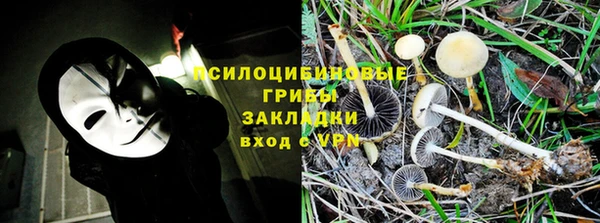 винт Алексеевка