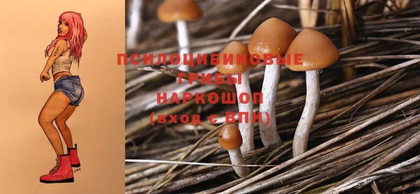 винт Алексеевка