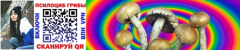 Псилоцибиновые грибы MAGIC MUSHROOMS  МЕГА ТОР  Алзамай  как найти наркотики 